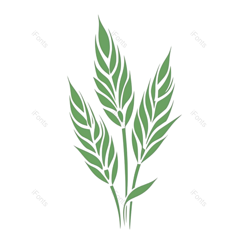 芒种图片,小满元素,稻谷PNG,麦子免抠素材